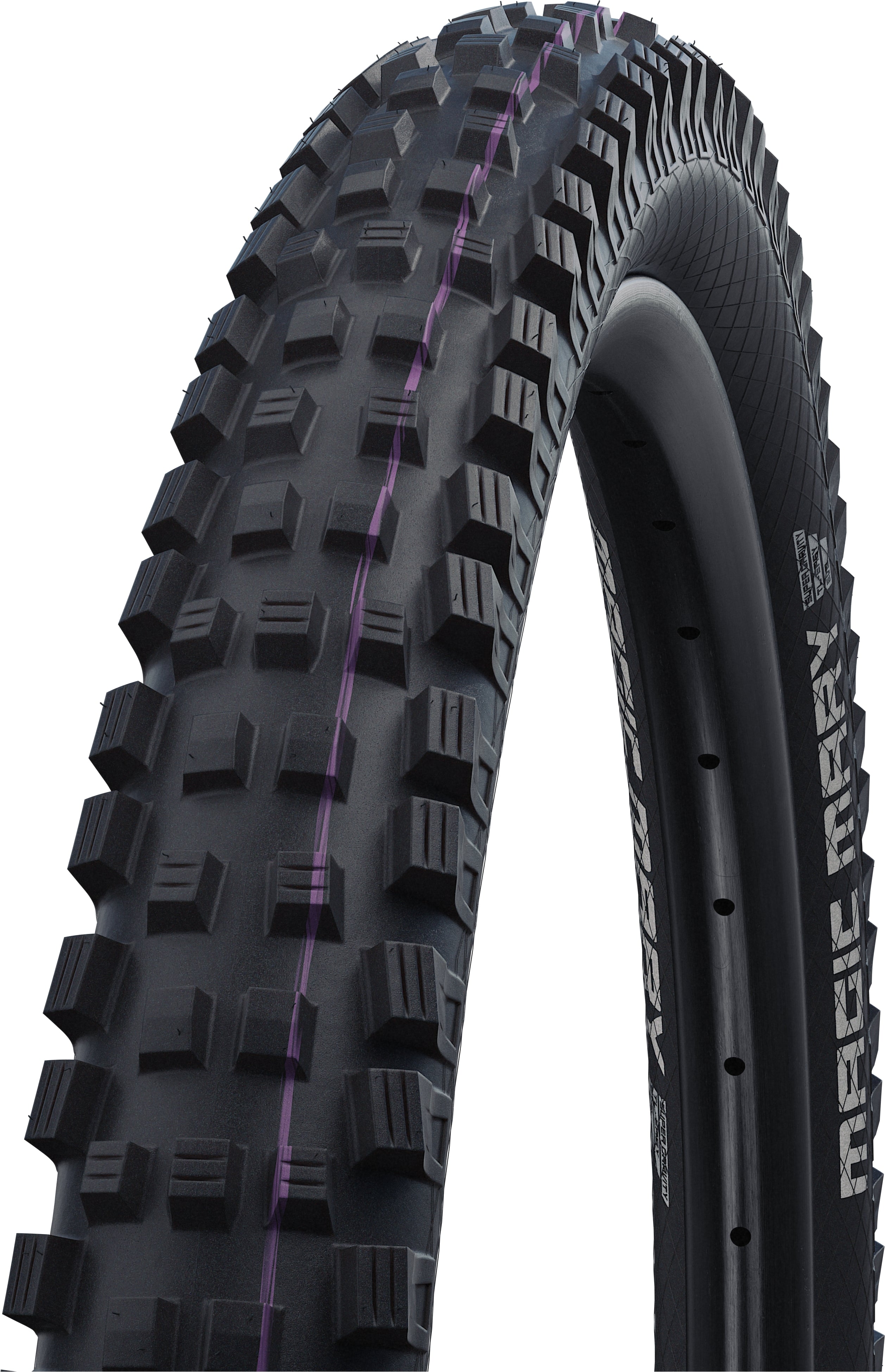 Schwalbe Magic Mary Super Downhill Evolution vouwband 26x2.60