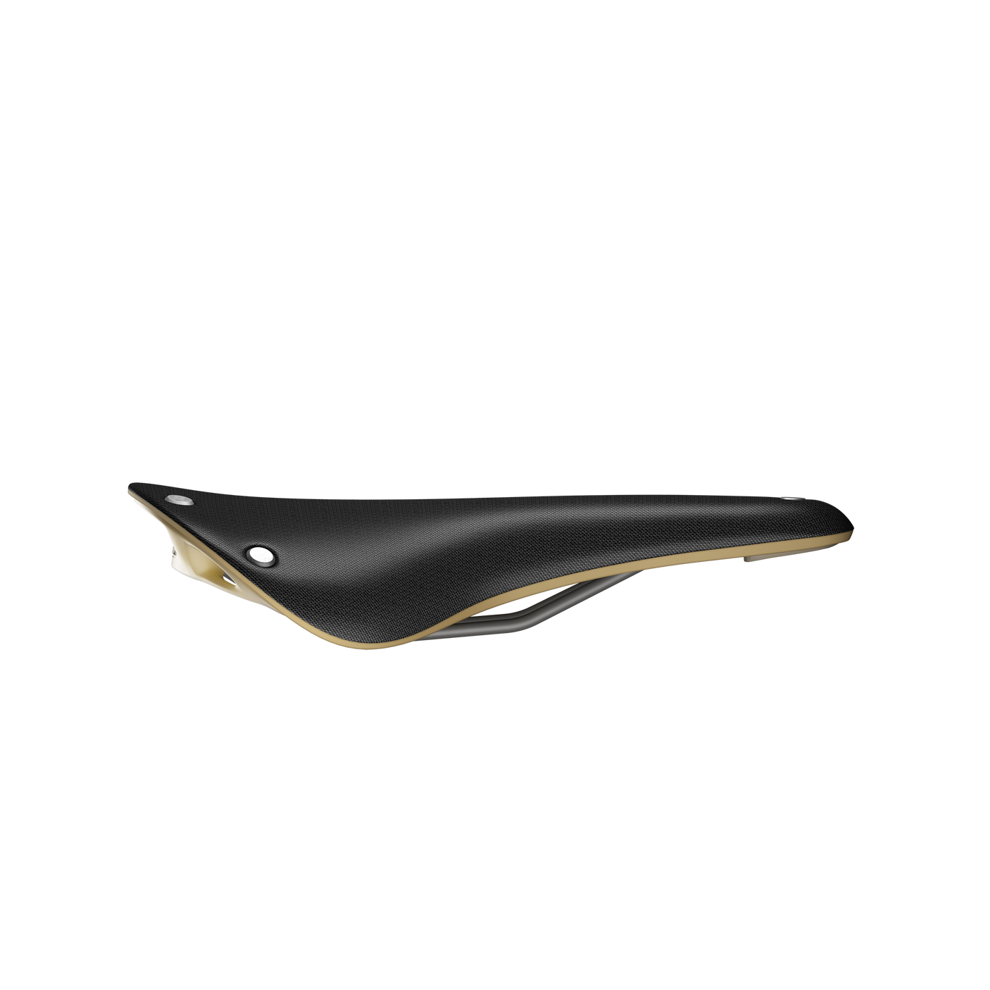 Brooks Cambium C17 Speciaal zadel zwart