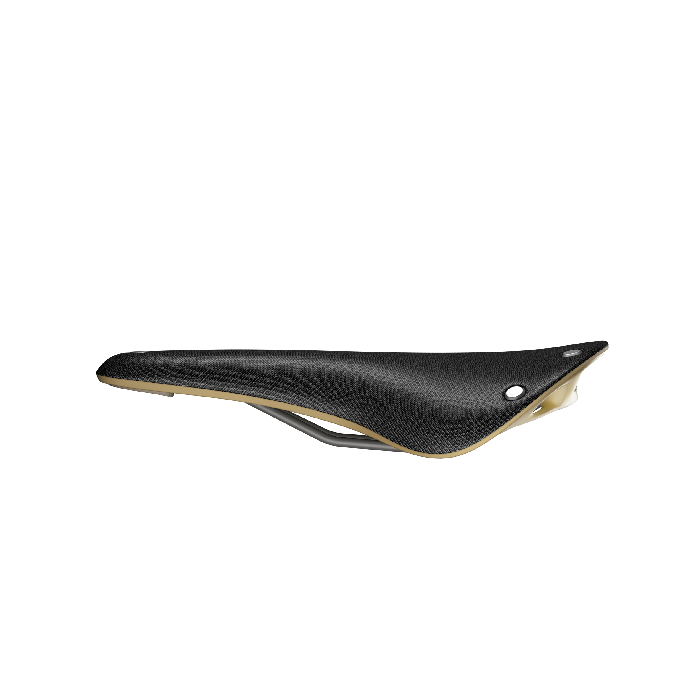 Brooks Cambium C17 Speciaal zadel zwart