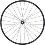 Shimano WH-RS171 Vorderrad 29" Centerlock 12x100mm schwarz